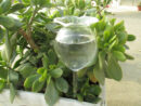Arrosoir automatique en forme de fleur en verre – Image 4