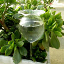 Arrosoir automatique en forme de fleur en verre